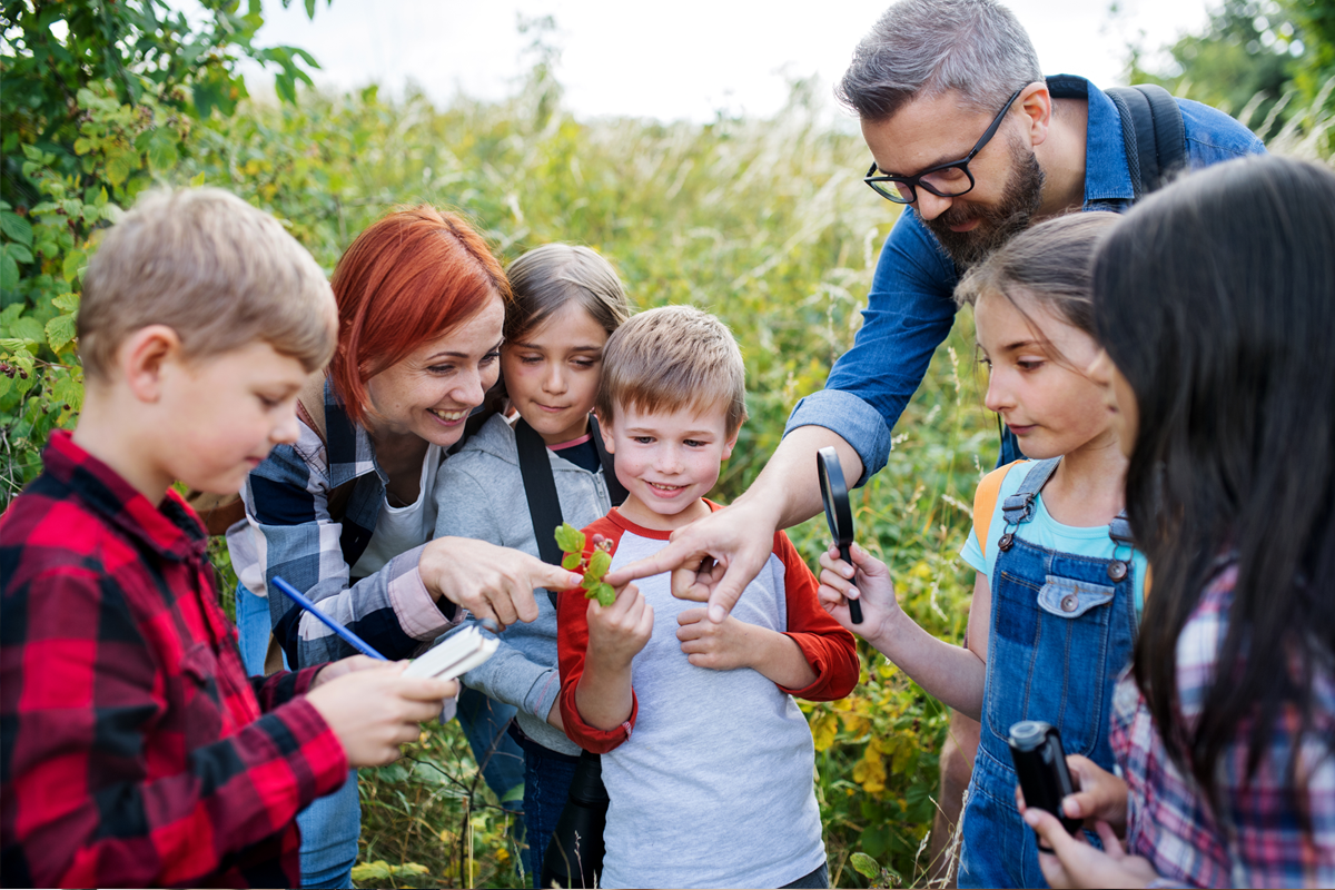 Natural Environment Teaching